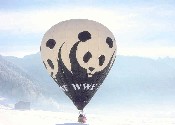 Bennie Bos; WWF in Austria