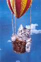 Cat in a basket