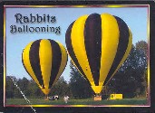 Rabbits Ballooning